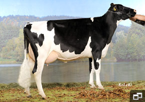 Mox Laurin Raven VG87